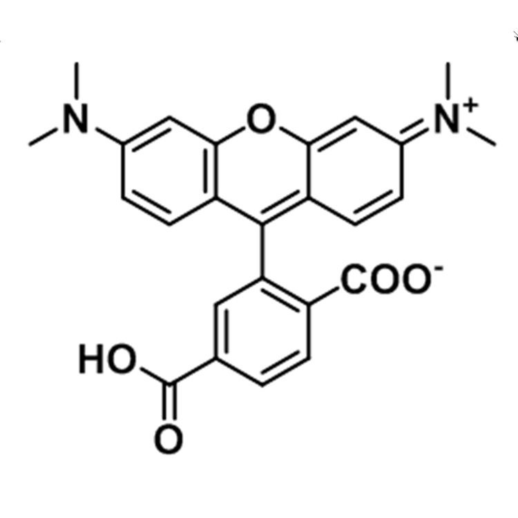 6-Carboxytetramethylrhodamine，6-TAMRA